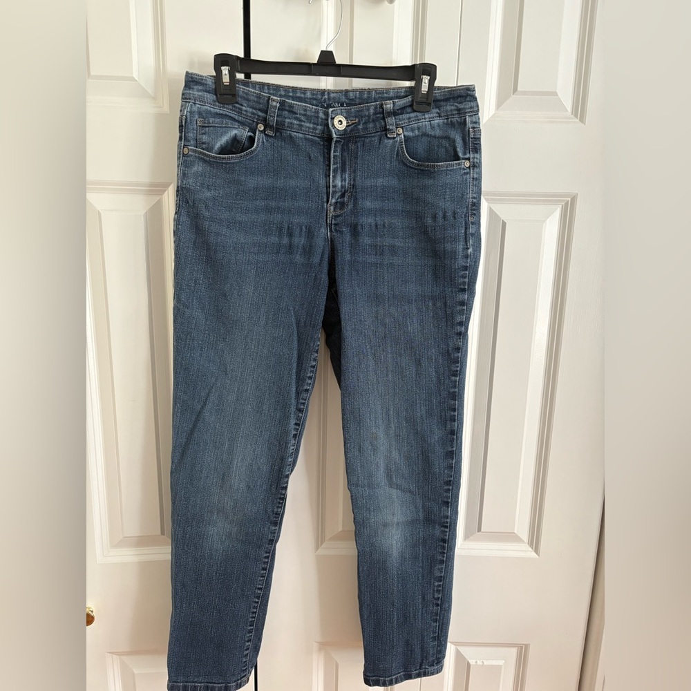 Style & Co. Women's Ex-Boyfriend Curvy Ankle Length Jeans